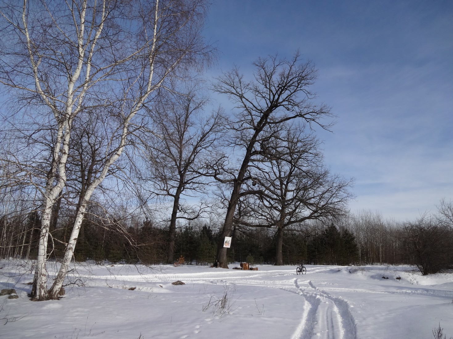 DSC01583.JPG