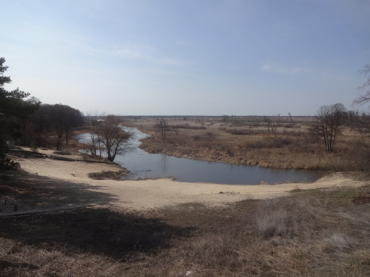 Вид с ворот Веневитиновского борделя