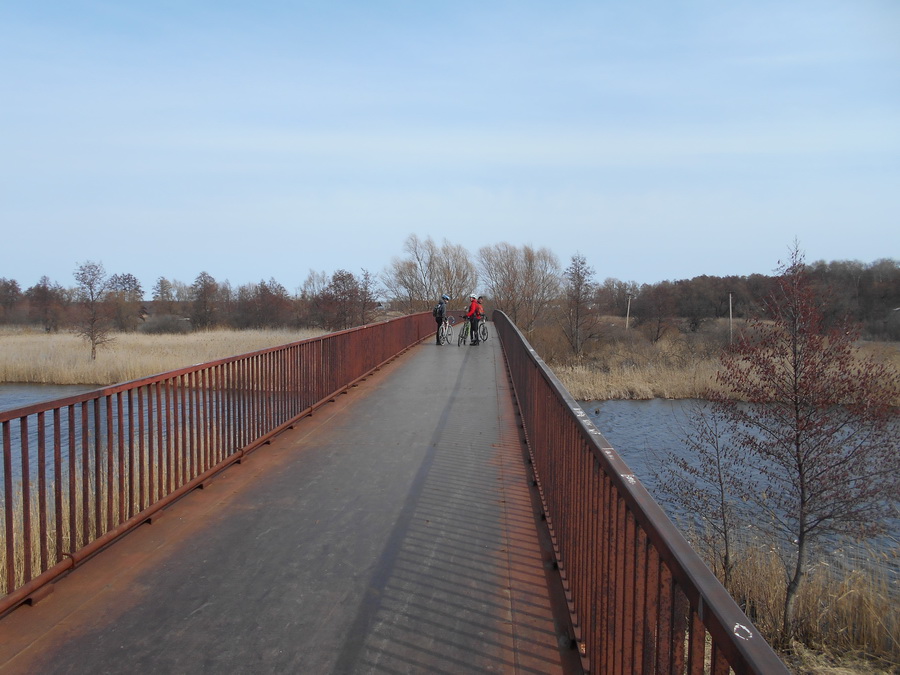 di bridge.jpg