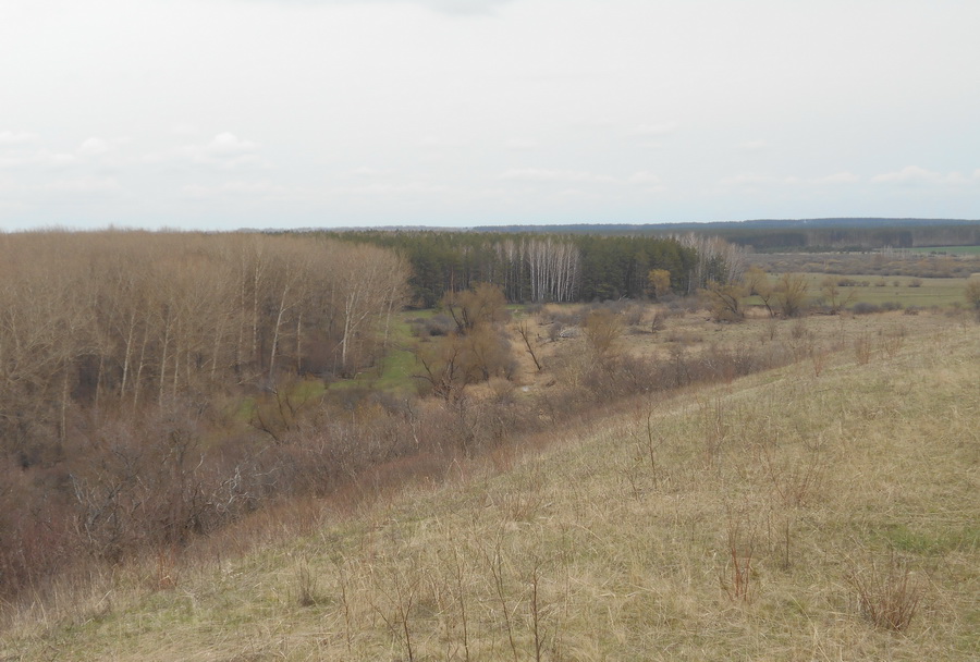 21south.jpg