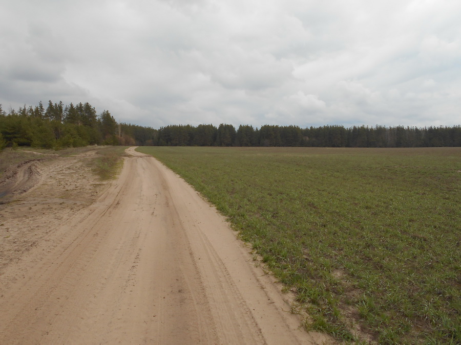 34flatfield.jpg