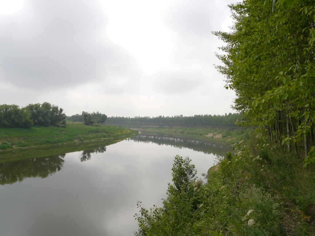 P1140251.JPG