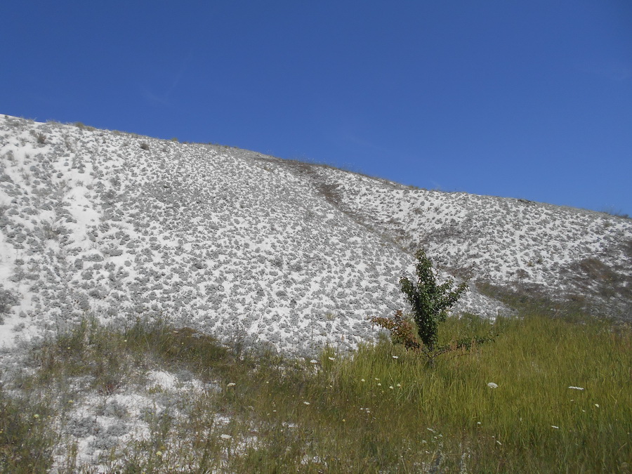6mountain.jpg