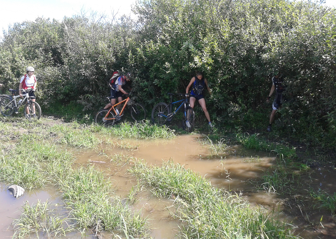2015_08_02_133000_a.jpg
