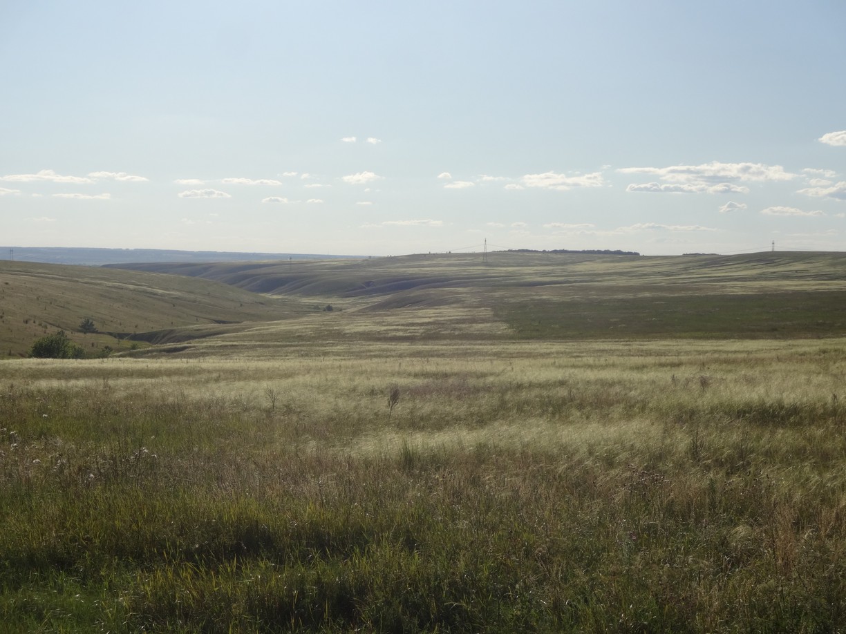 Ковыль
