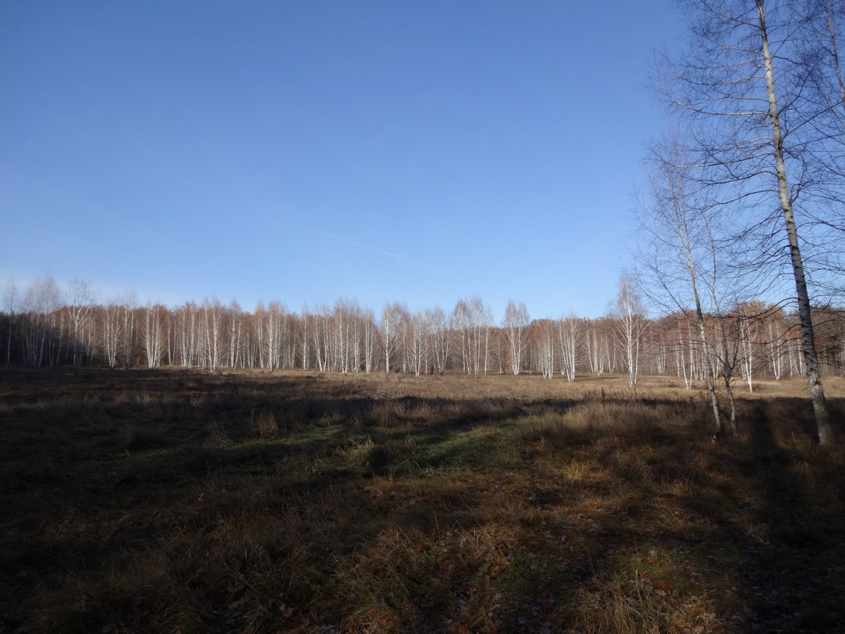 ур. Черепахино поле