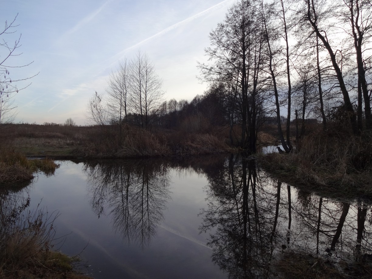 Воды в Усманке заметно больше, чем 2 недели назад. Это типа брод под Желдаевкой.