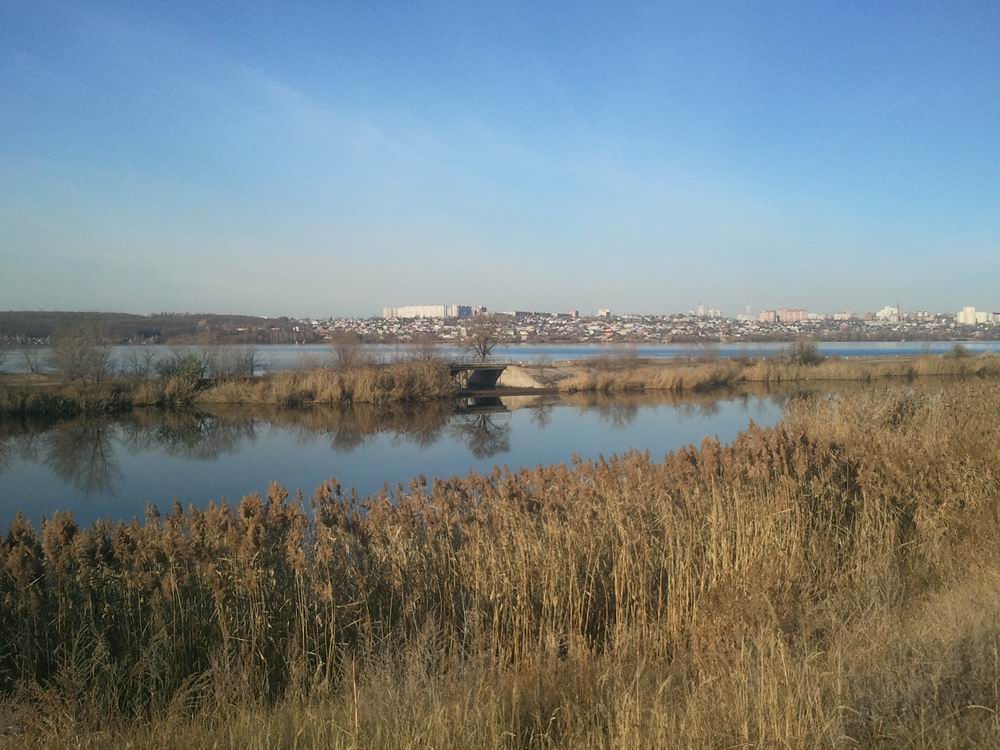 Resize of 2015-11-14 11.26.23.jpg
