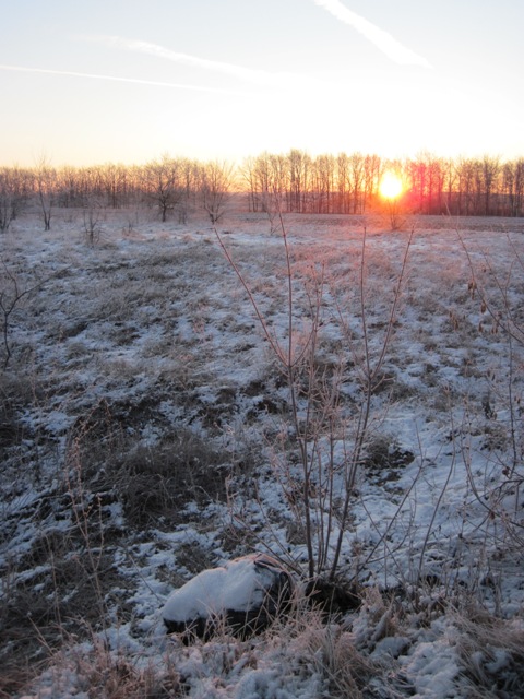 IMG_2117.JPG