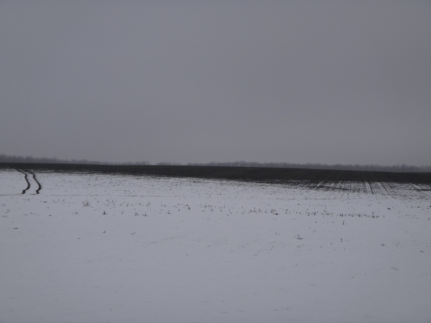 DSC03372.JPG