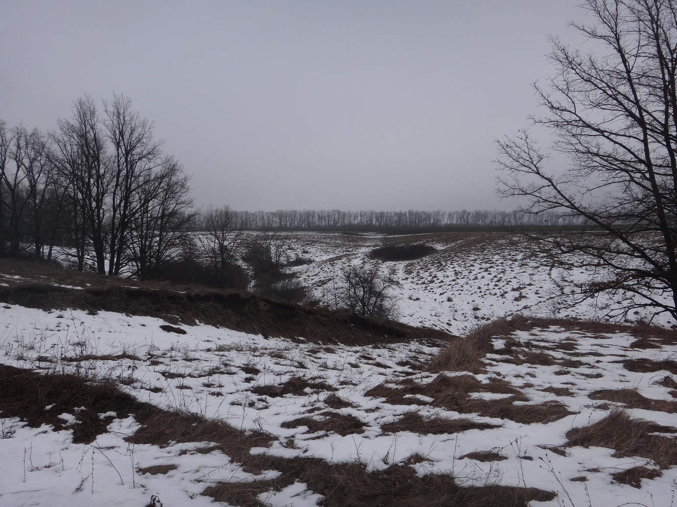DSC03373.JPG