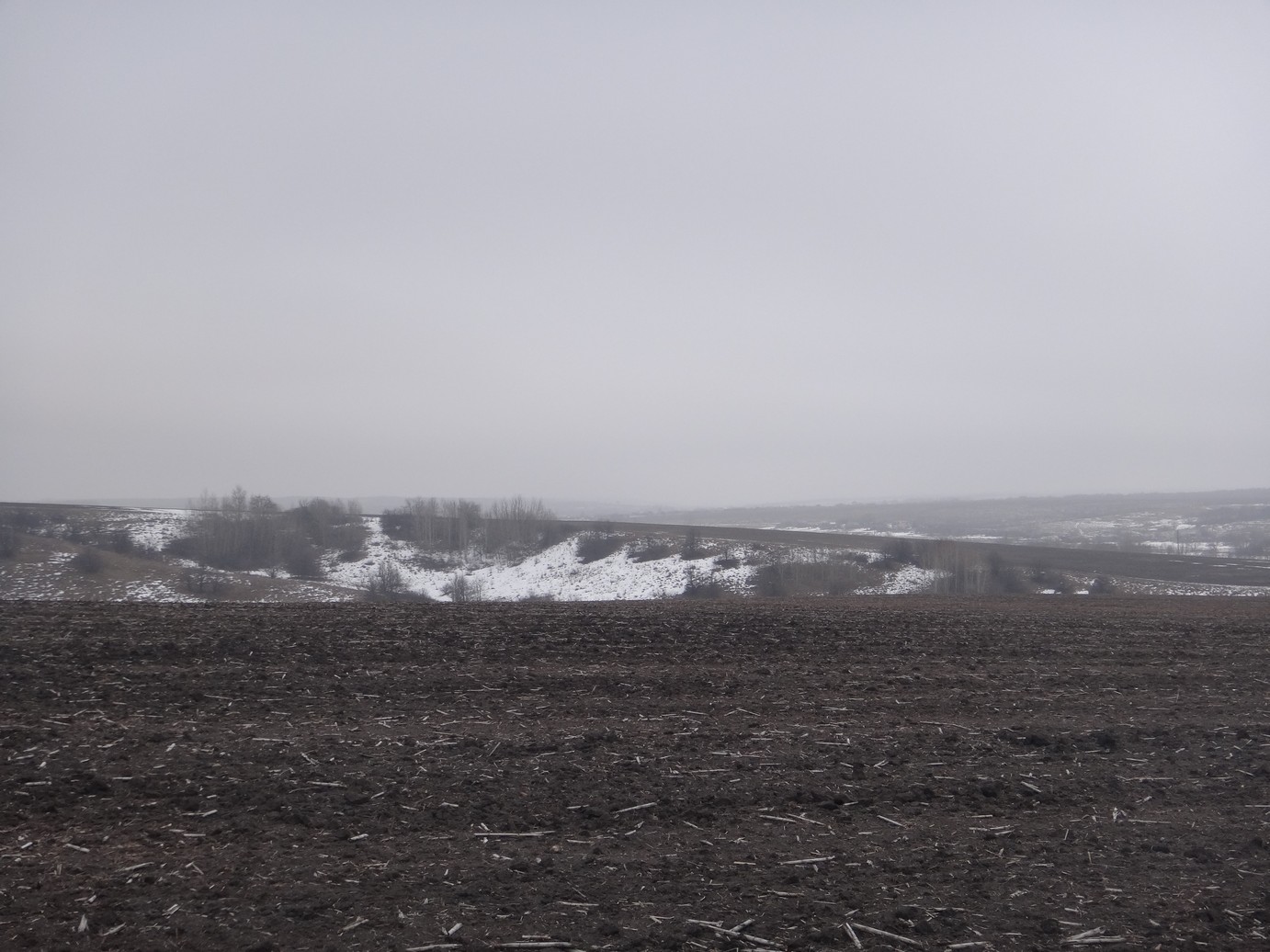 DSC03375.JPG