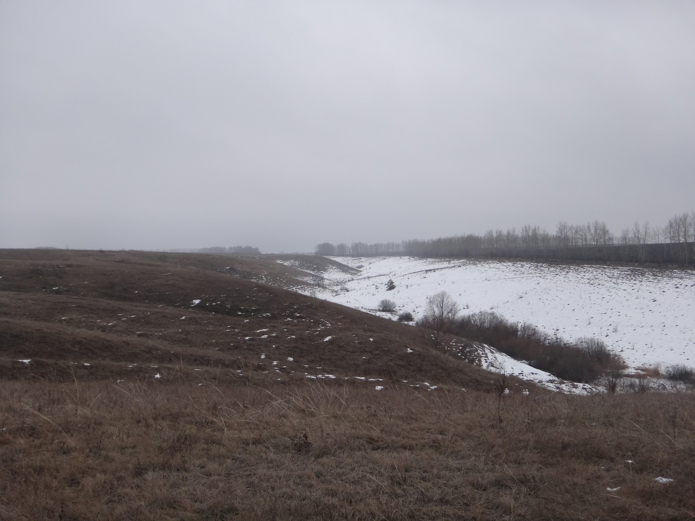 DSC03378.JPG