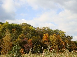 DSC00659.JPG