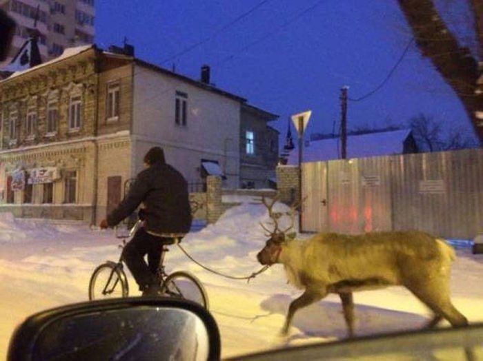Оо.jpg