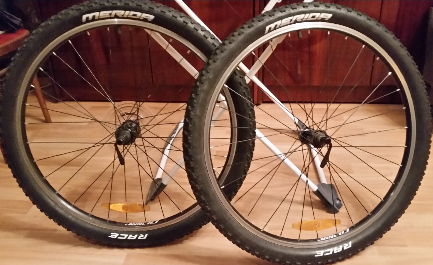 Merida Race.jpg