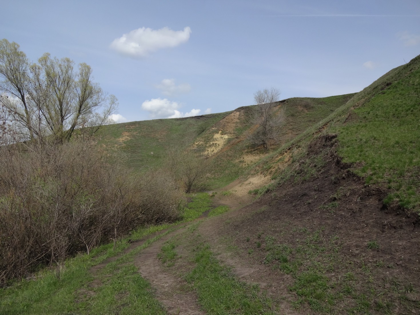 в балке Кругляк