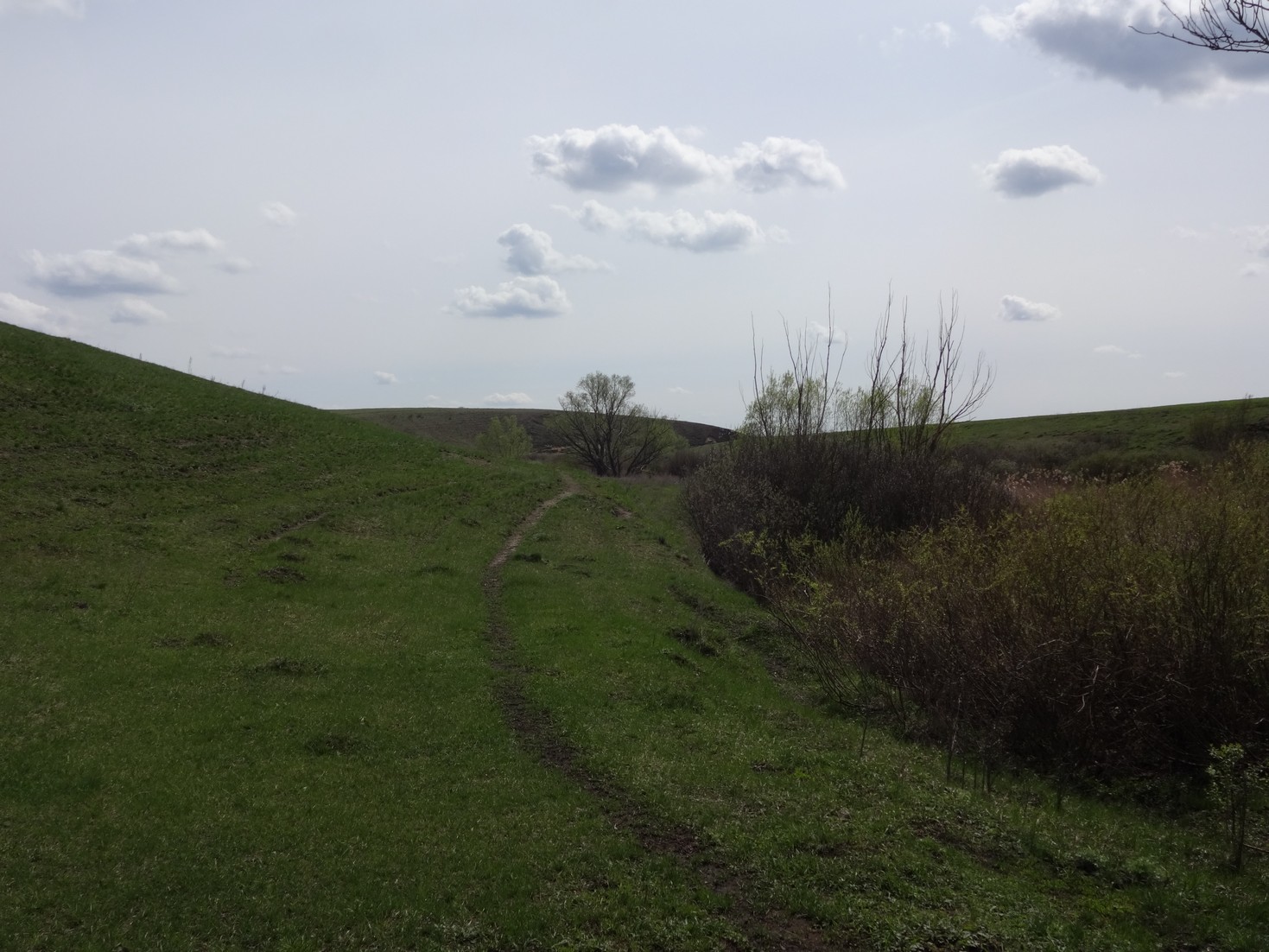 в балке Кругляк