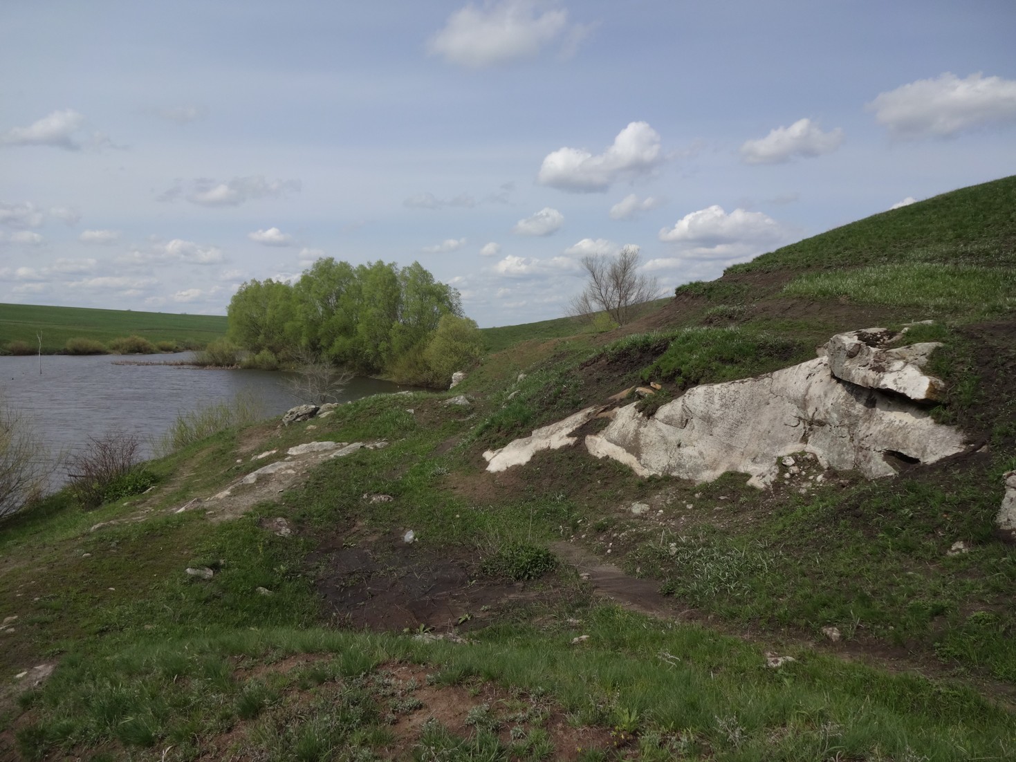 в балке Кругляк, выходы известняка на берегу пруда