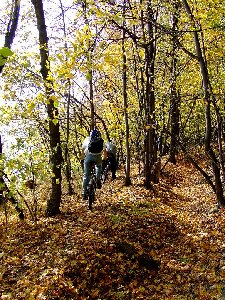 DSCF4784 копия.jpg