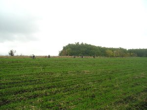 дорога
