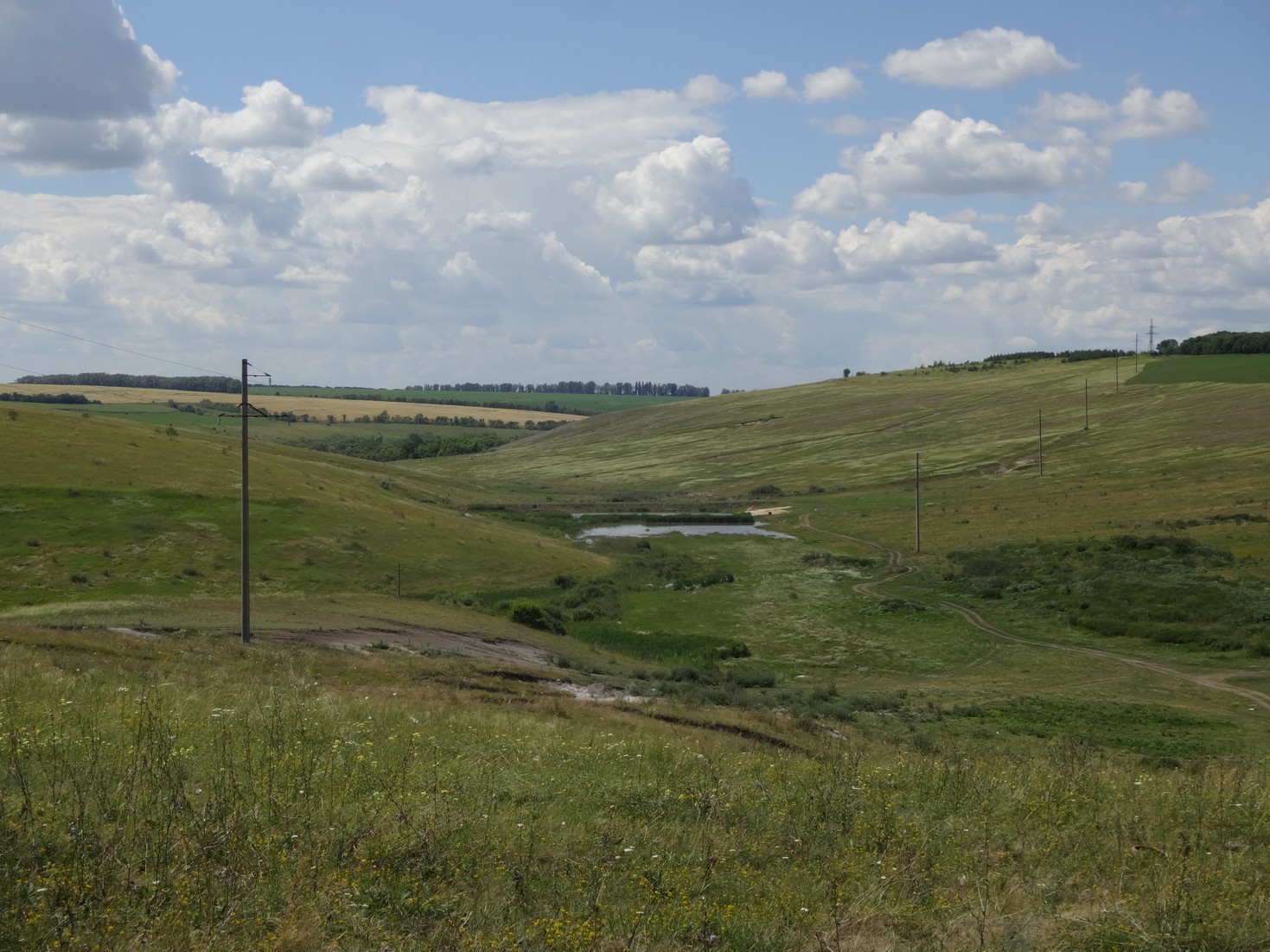Силипяга. Пруд поднаполнился. Насыпали пляж, привезли мусорный бак. Скоро место опопсеет, увы.