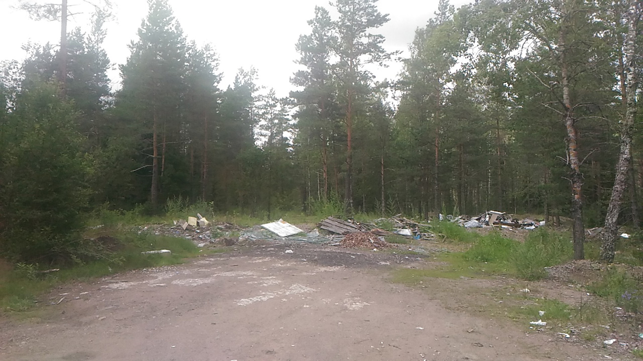 P_20160717_133522.jpg