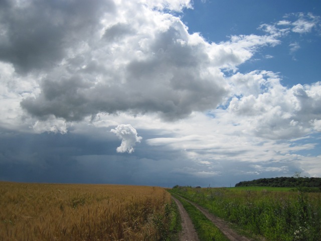 IMG_8763.JPG