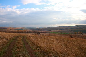 IMG_0007.JPG