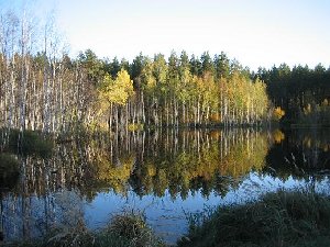 IMG_6447.JPG