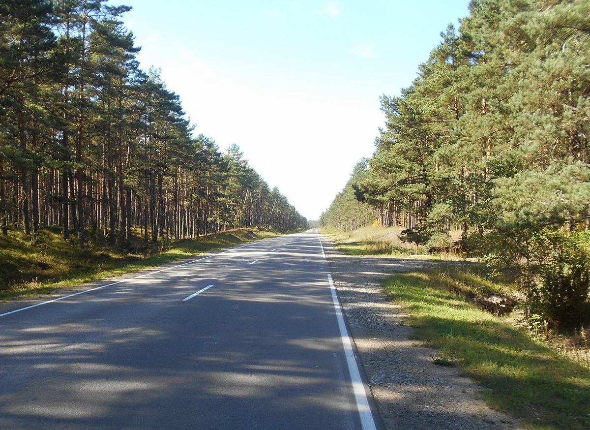 14road.jpg
