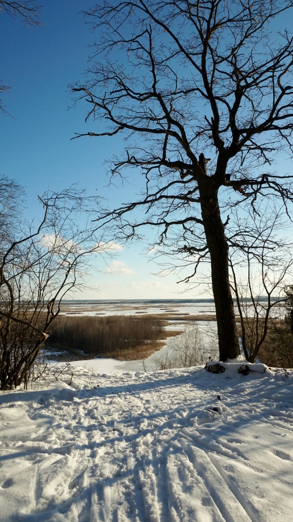 DSC02521 (575x1024).jpg
