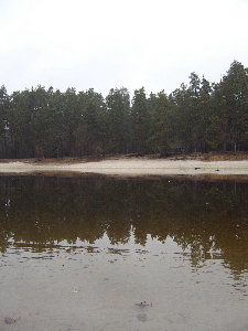 STA72501.jpg