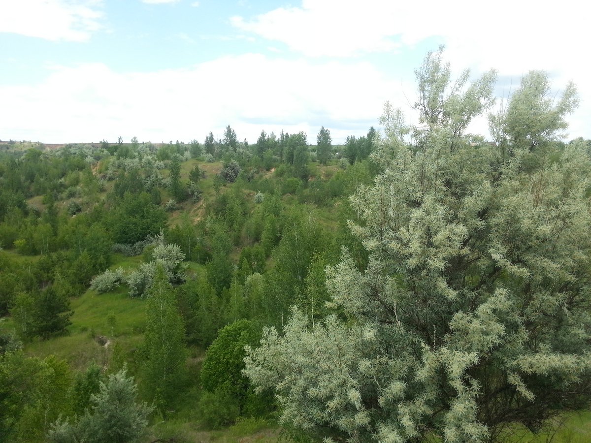 20170618_122710_.jpg