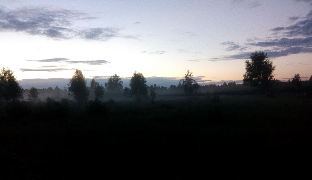 43fog.jpg