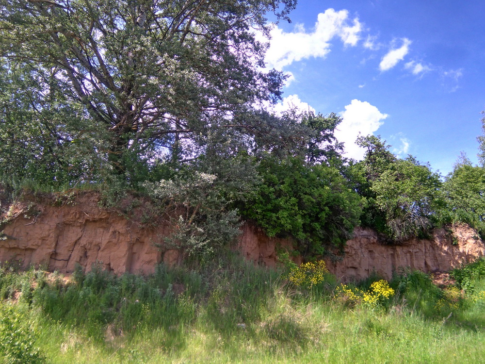 55cliff.jpg