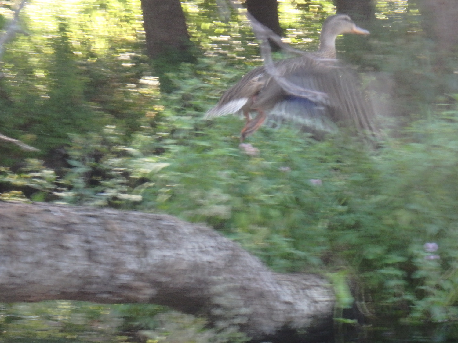 11takeoff.jpg