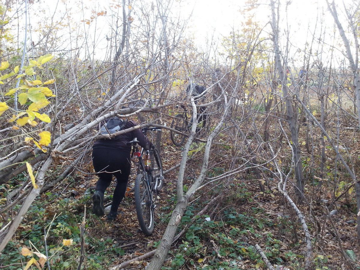 20171021_143549_.jpg