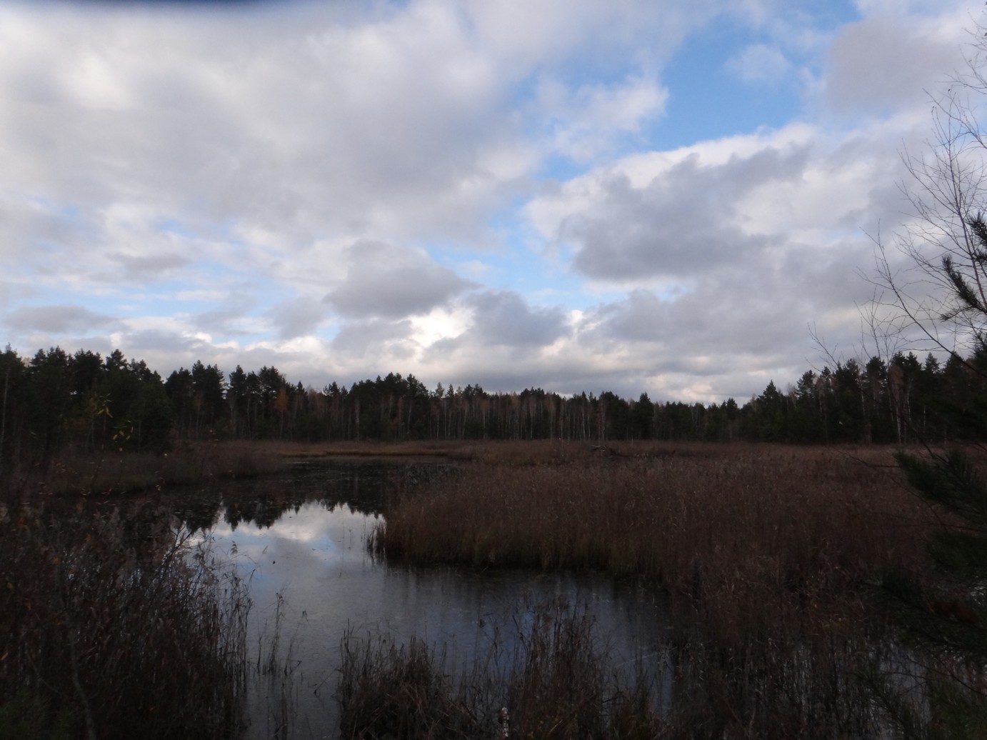 DSC03721.JPG