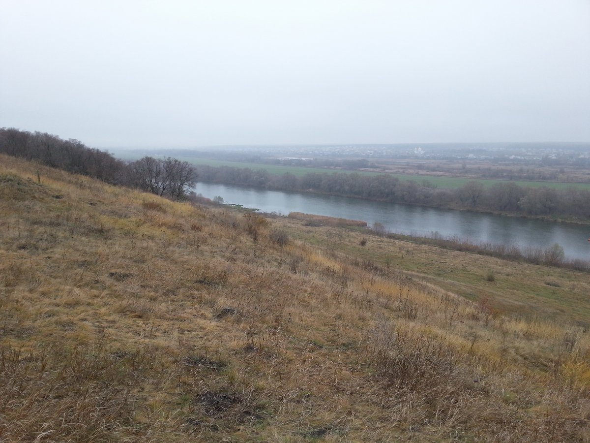 20171028_115039_.jpg