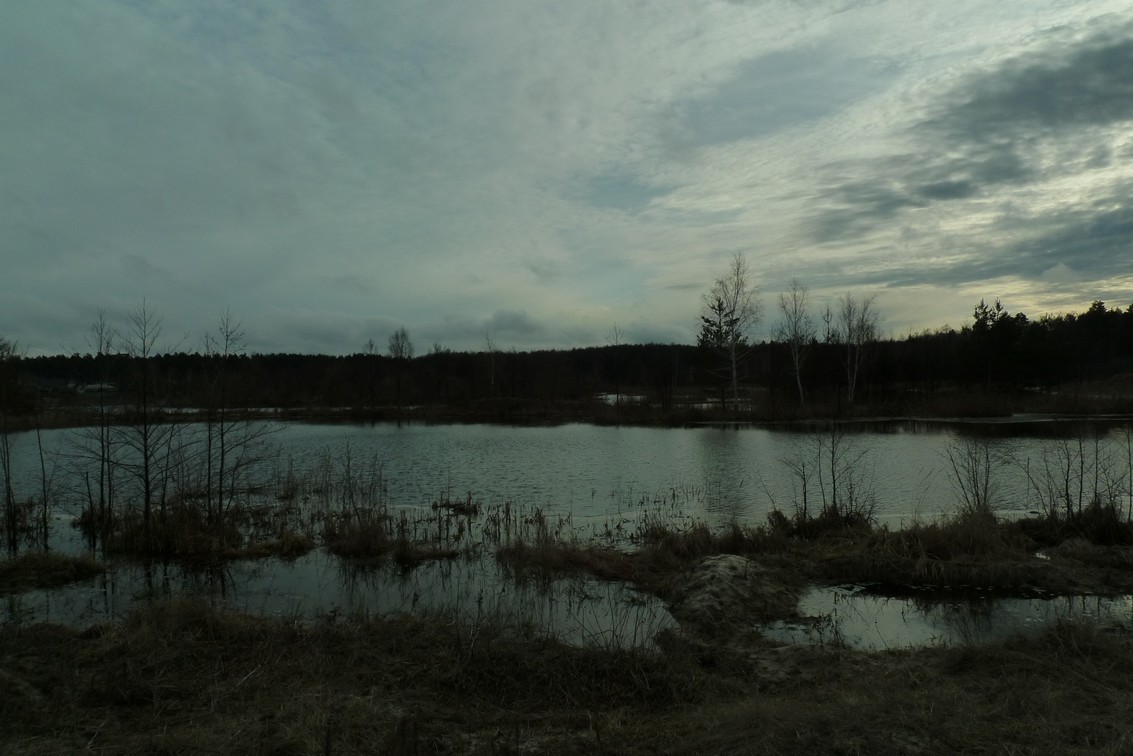 P1160348.JPG