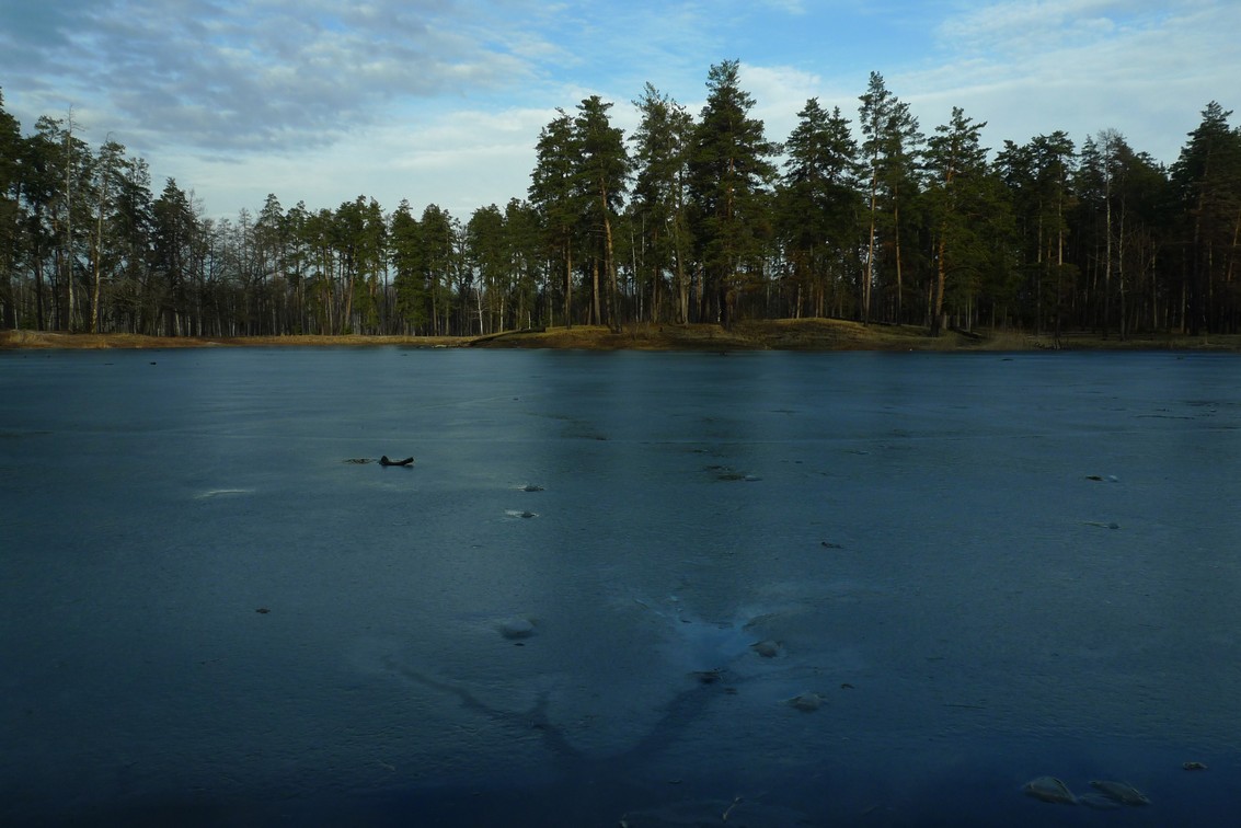P1160356.JPG