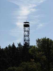 IMG_3658_resize.JPG