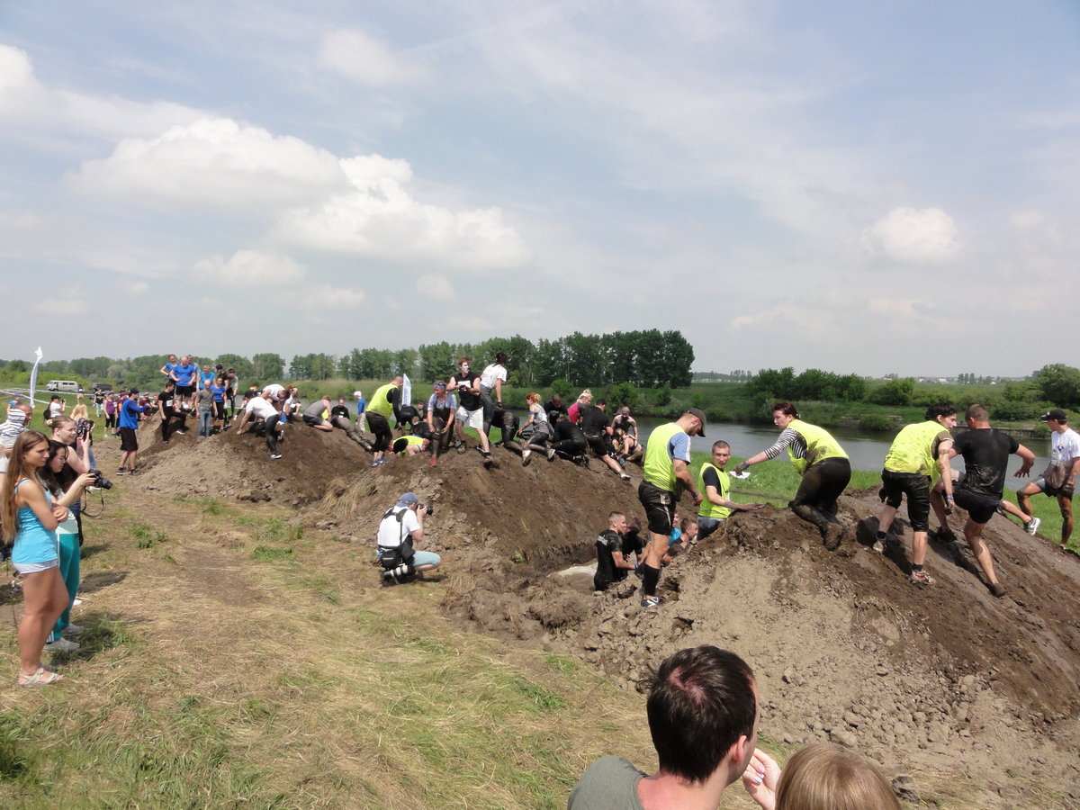 DSC08597_.jpg