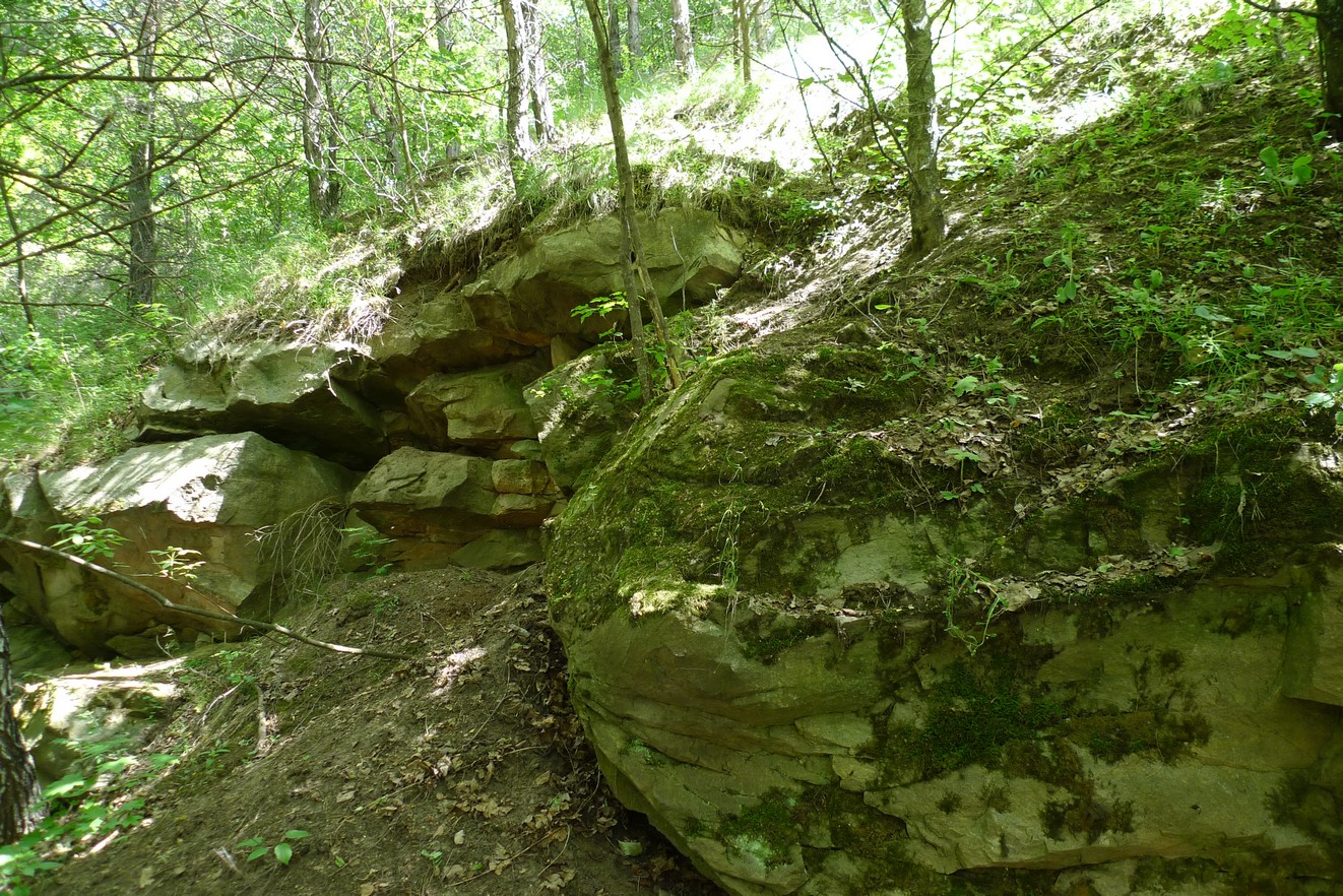 P1170266.JPG