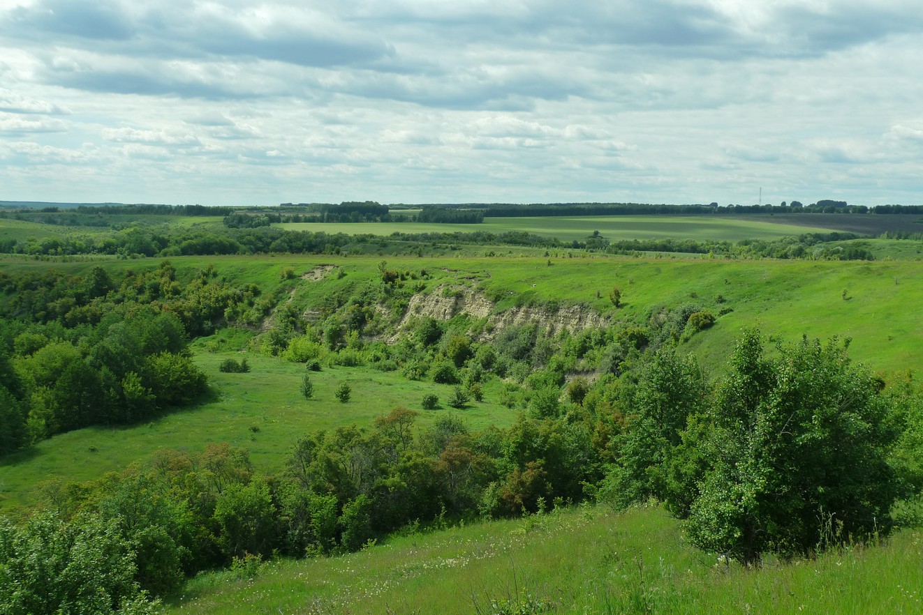 Берег Кобыльей Сновы