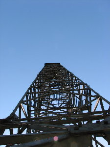 IMG_3683_resize.JPG
