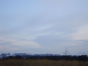 Обзор на город