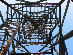 IMG_3685_resize.JPG