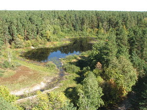 IMG_3693_resize.JPG